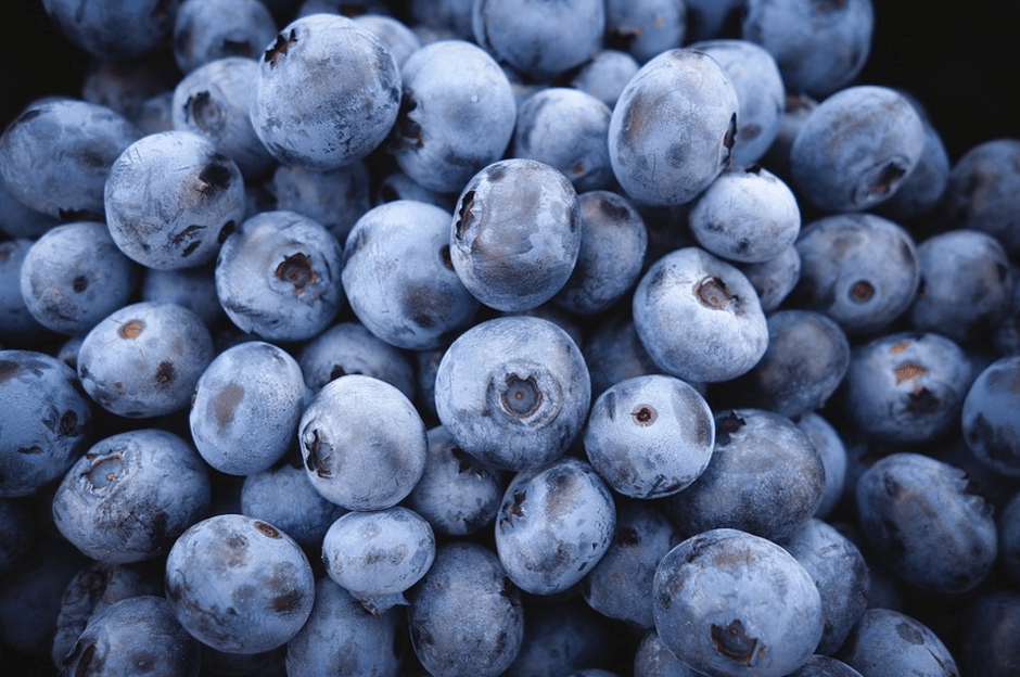 Blueberries can stay youthful