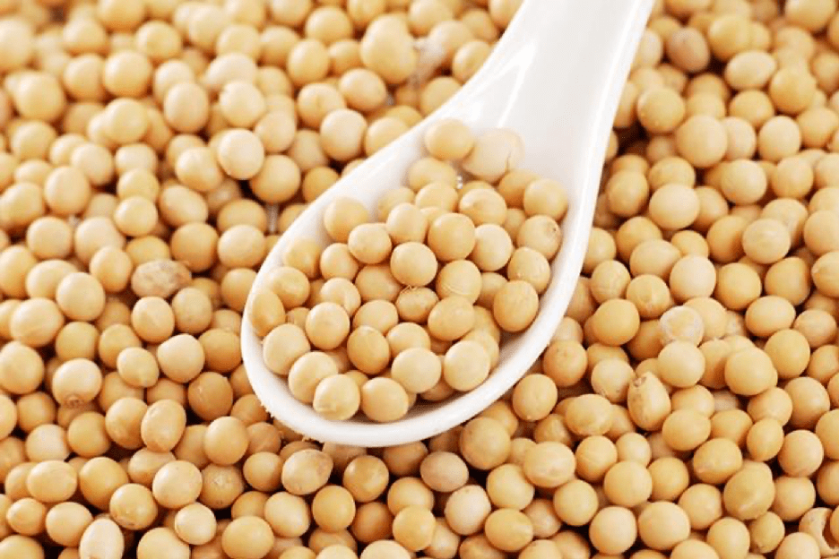 Soybeans that keep youthful