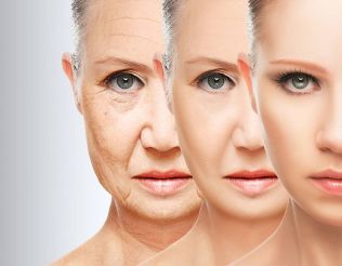 The factors that affect the natural and premature aging